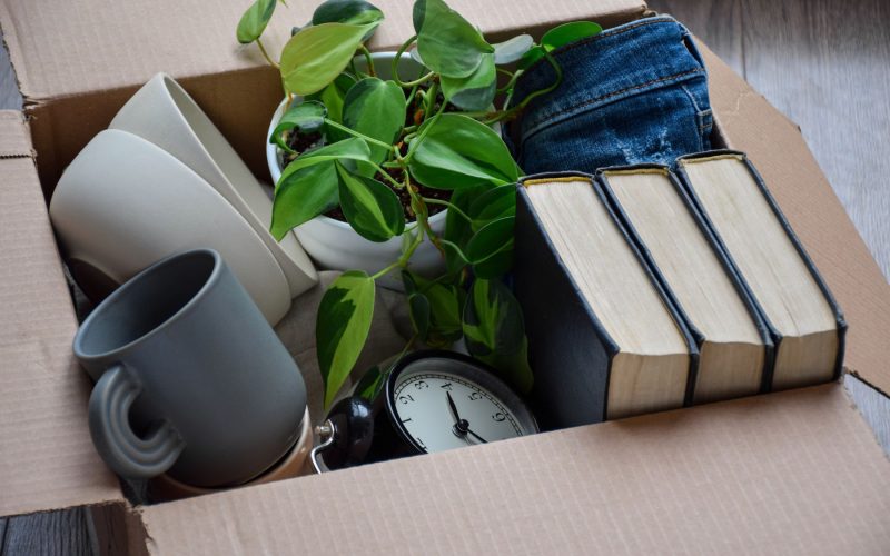 Decluttering Junk Removal